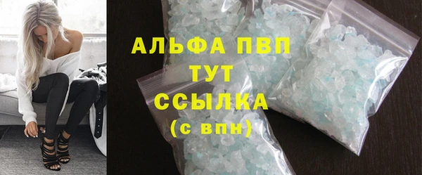 PSILOCYBIN Богородск