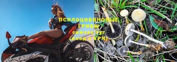 дистиллят марихуана Богородицк