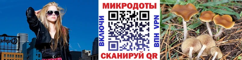 нарко площадка какой сайт  Оренбург  Псилоцибиновые грибы MAGIC MUSHROOMS 
